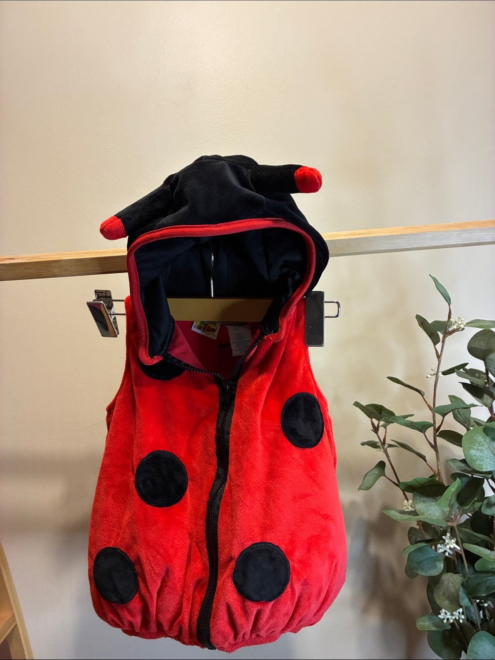 Kids Ladybug Hooded Costume Vest - Red and Black